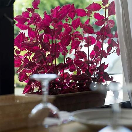 Hotel Annarita Rimini Kültér fotó